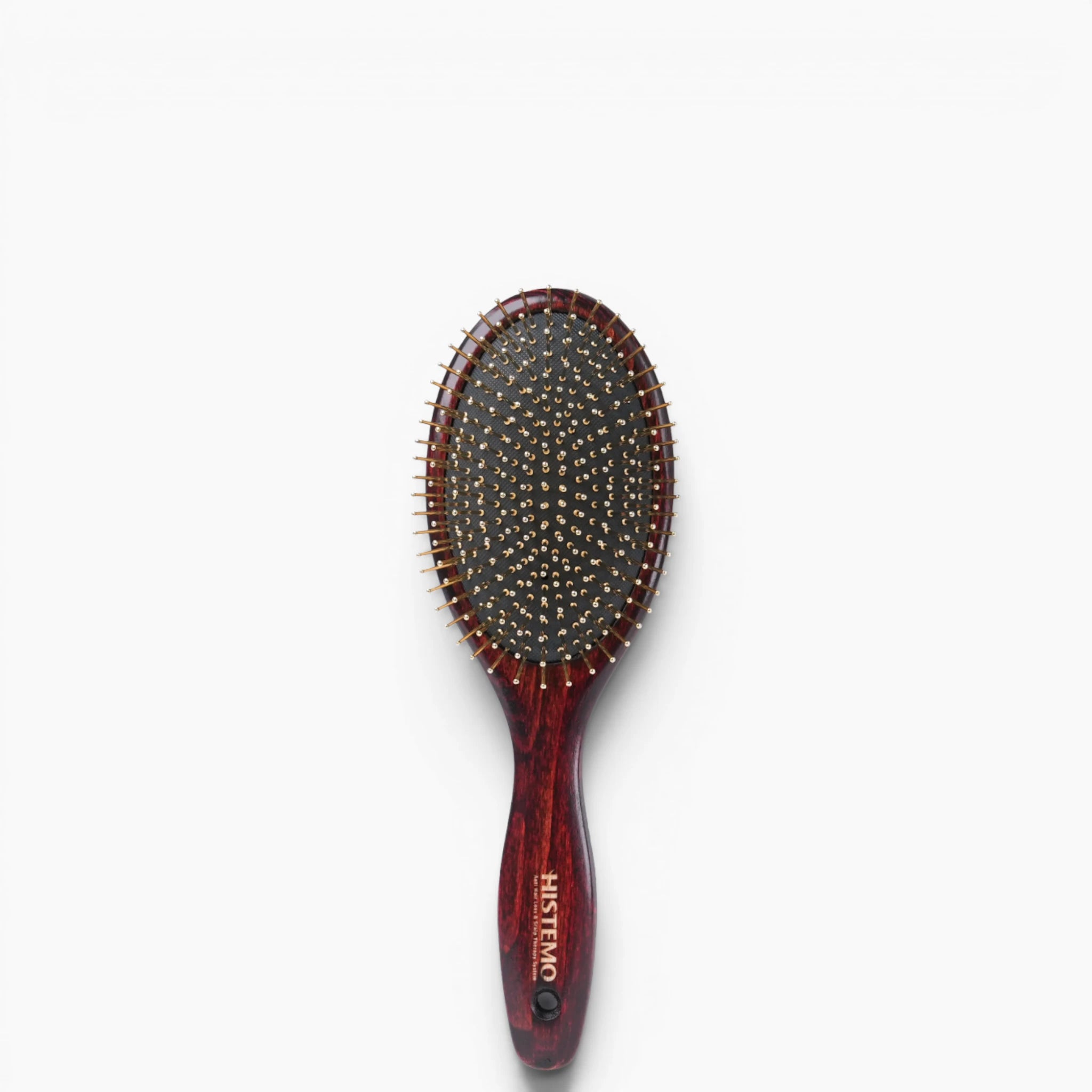 Brosse En Bois & Or 18 Carats