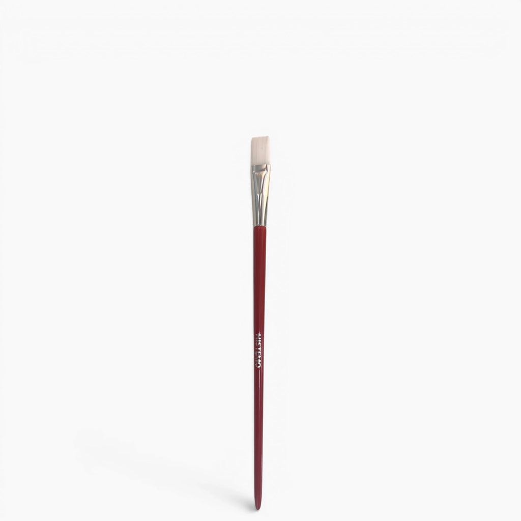 ION-TO S Treatment Brush - Pinceau d'Application