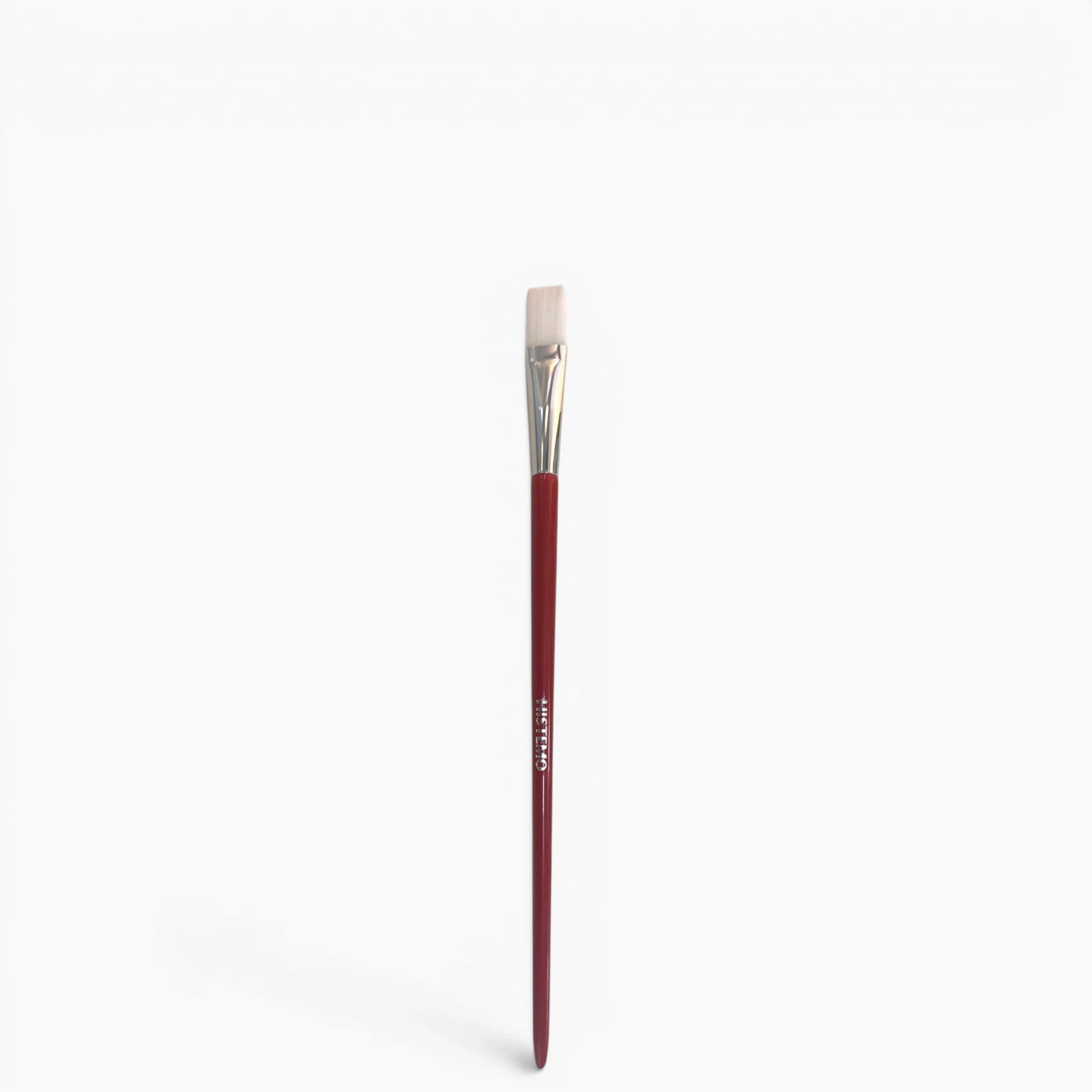 ION-TO S Treatment Brush - Pinceau d'Application