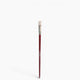 ION-TO S Treatment Brush - Pinceau d'Application